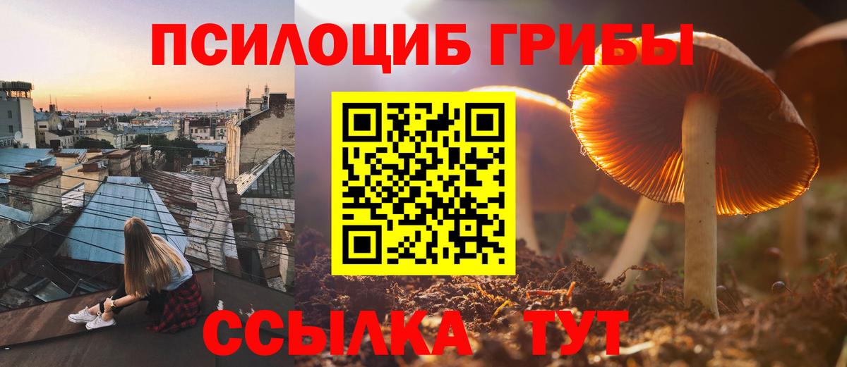 Галлюциногенные грибы MAGIC MUSHROOMS Брянск